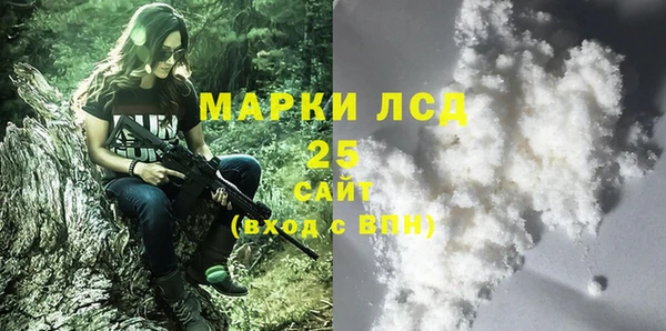 эйфоретик Осинники
