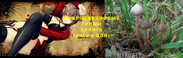 эйфоретик Осинники
