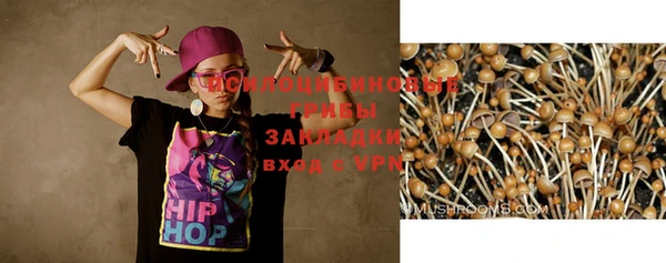 сатива Остров