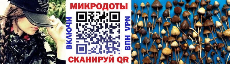 площадка официальный сайт Самара Псилоцибиновые грибы ЛСД