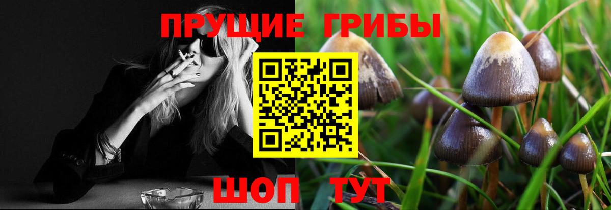 Галлюциногенные грибы Magic Shrooms Самара