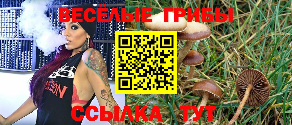 Псилоцибиновые грибы Psilocybe  Вход с VPN  Галлюциногенные грибы MAGIC MUSHROOMS  Самара 
