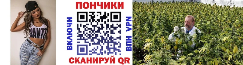 Бошки Шишки Amnesia  Самара 